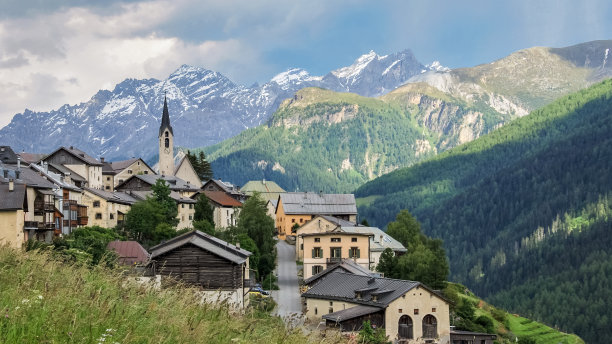 guarda