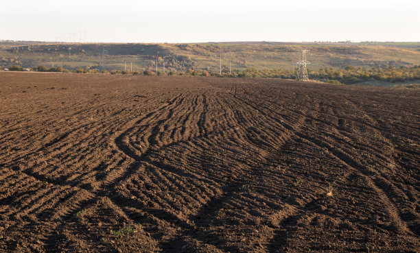 ground