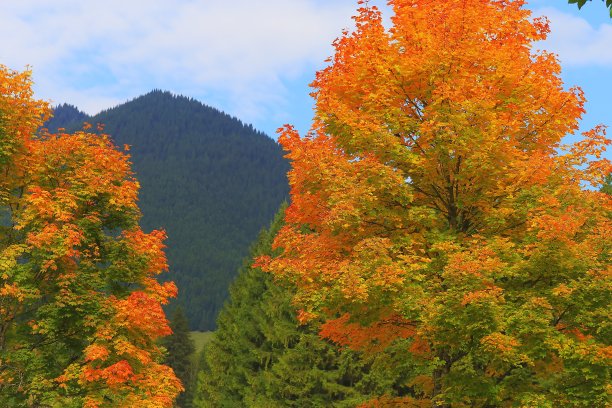 tyrol