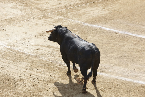 toro