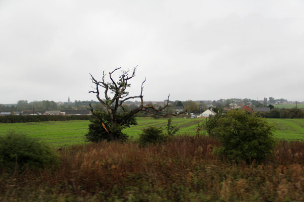 durham