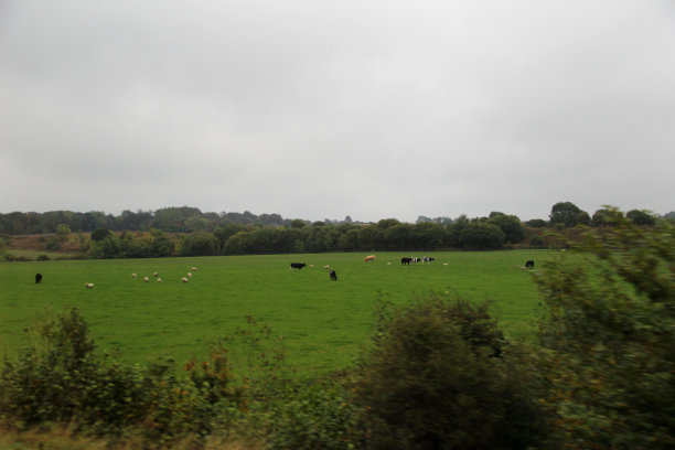 durham