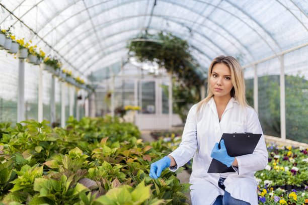 女科学家研究培养植物