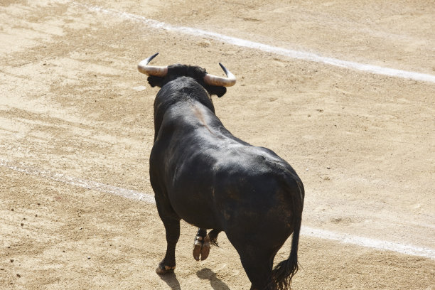 toro