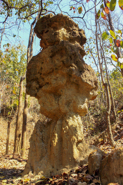 columns