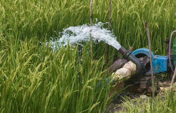 irrigation