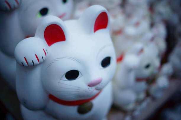 小猫,猫,招财猫