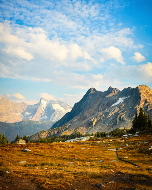 scenics
