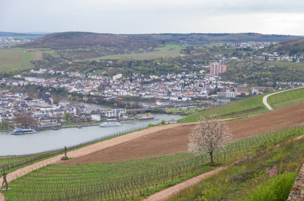 rudesheim