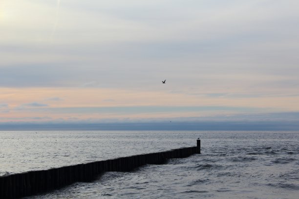 groyne