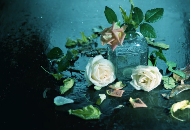 湿,寒冷,玫瑰