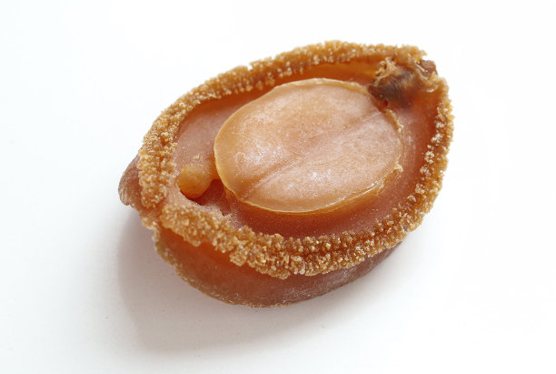 abalone