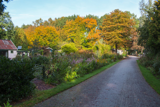 园林社区的秋色和小路