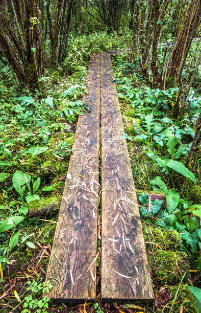 boardwalk
