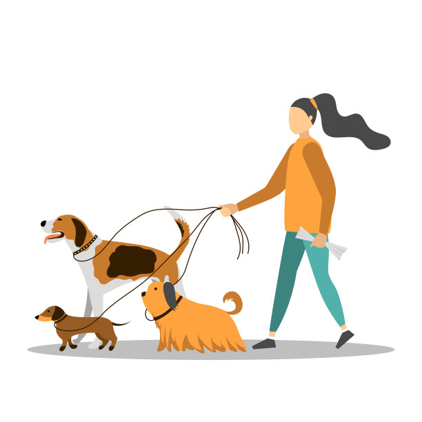 可爱的,遛狗师,狗