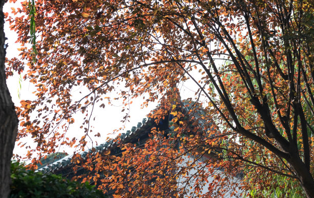 武汉建筑地标背景