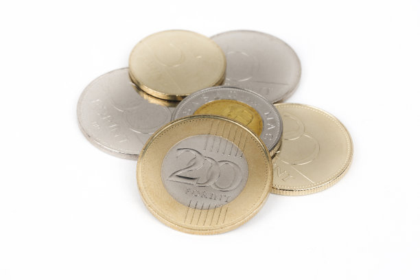 波兰匈牙利银币