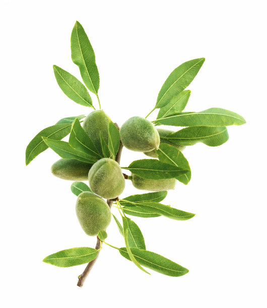 almonds