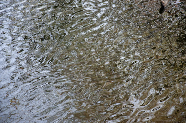backwater