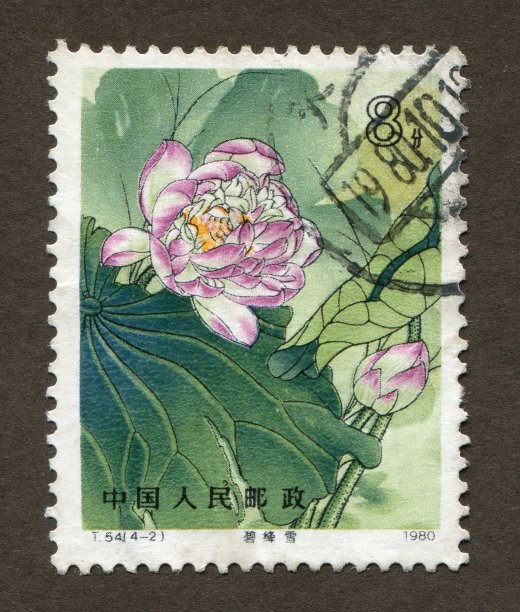 stamp