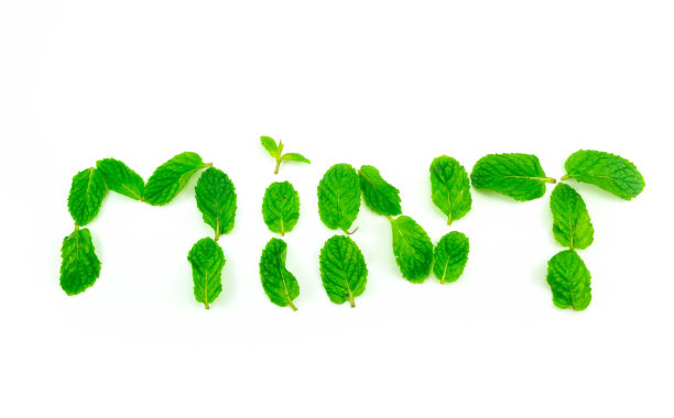 spearmint