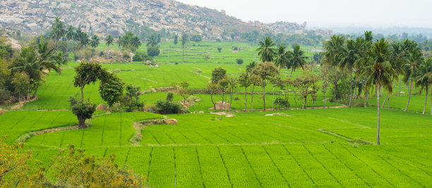 hampi