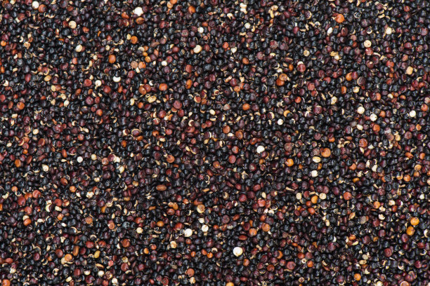quinoa