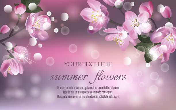 樱花美妆海报设计