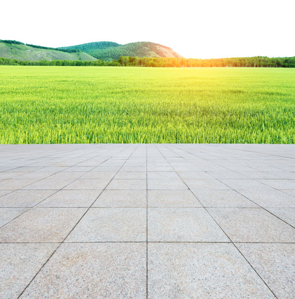 全国生态日背景