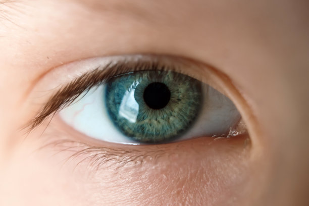 s-eye