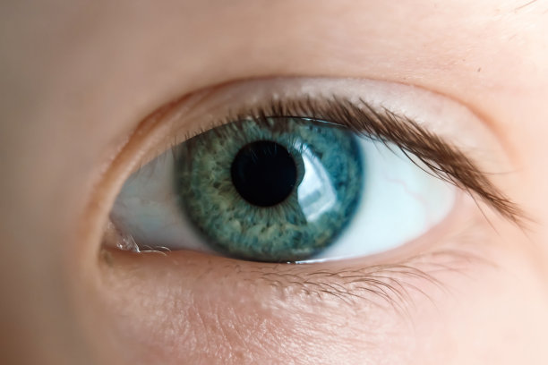 s-eye