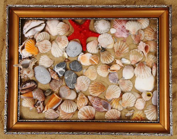 shells