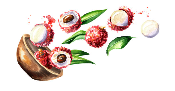 水彩荔枝