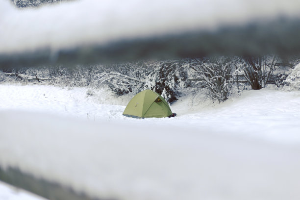 两极气候,冰,雪