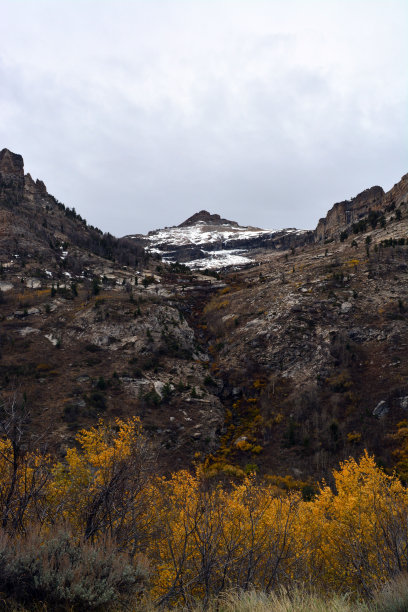 elko