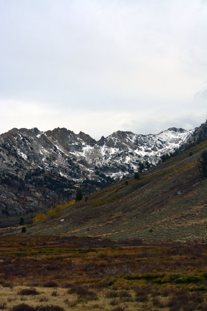 elko