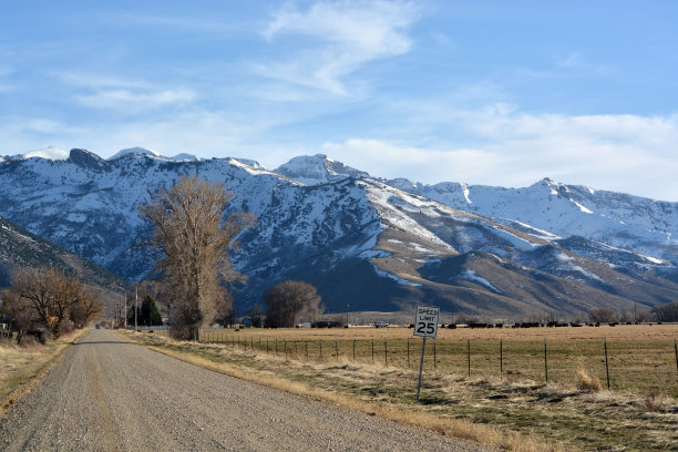 elko