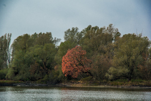 osijek