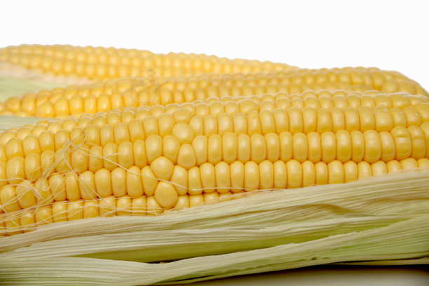 有机玉米粗粮细节拍摄
