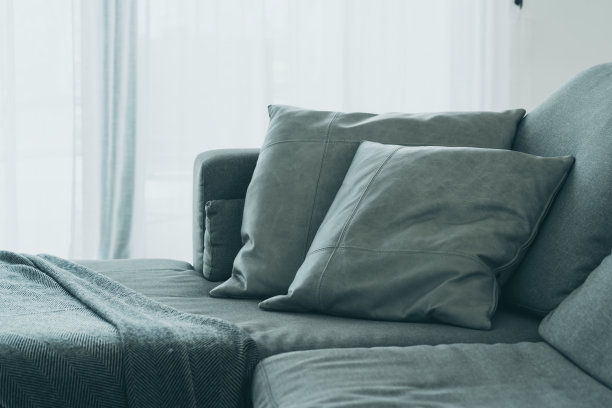 cushion