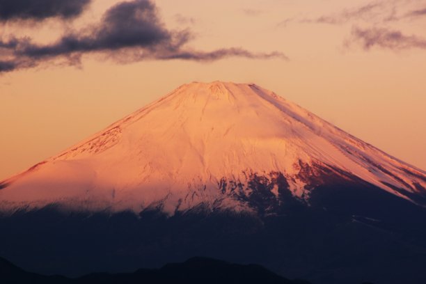fuji