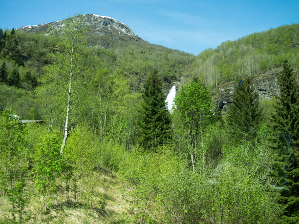 flam