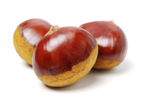 chestnut