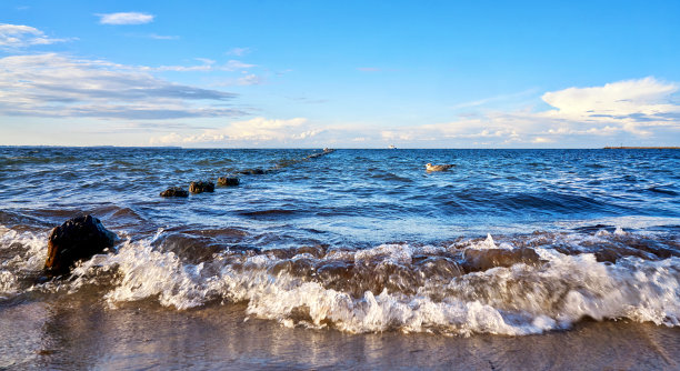 groyne