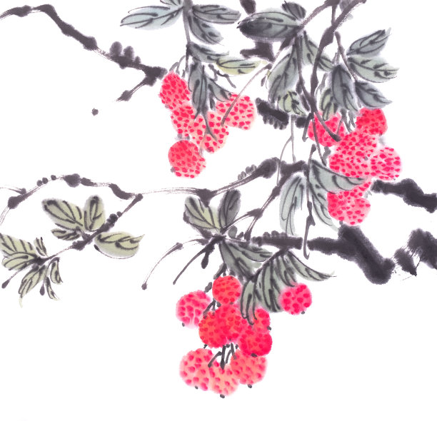 水彩荔枝