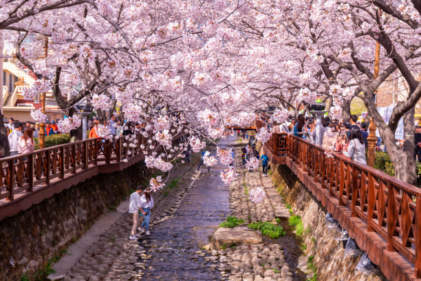 seoul