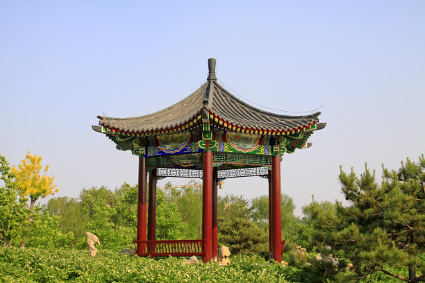 户外,绿色,城市生活