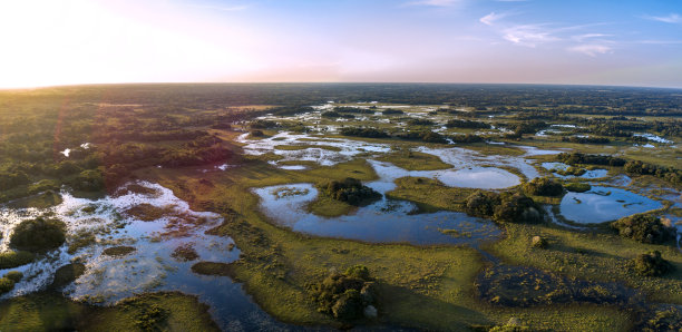 wetland