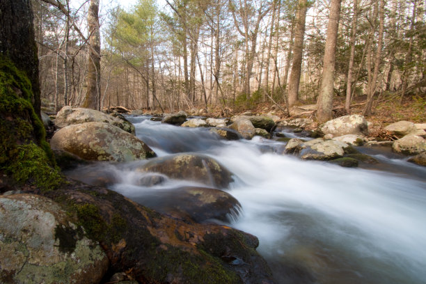 shenandoah