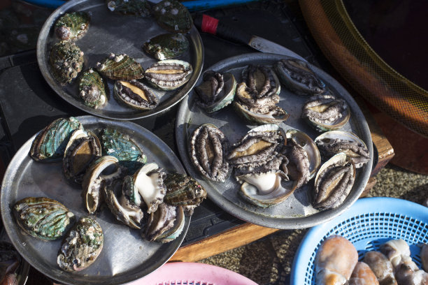 abalone